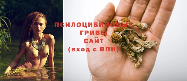 ECSTASY Инта