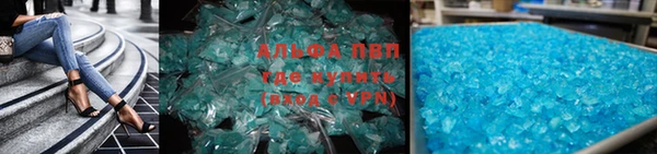 PSILOCYBIN Инсар