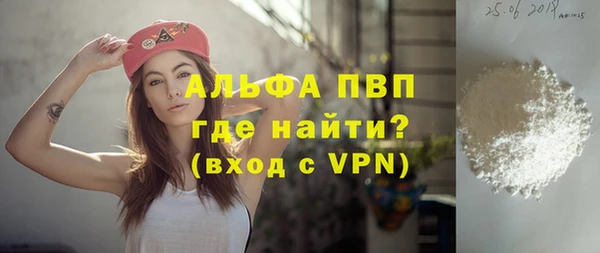 PSILOCYBIN Инсар