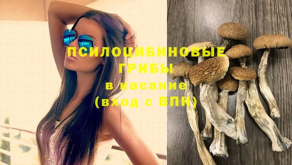PSILOCYBIN Инсар