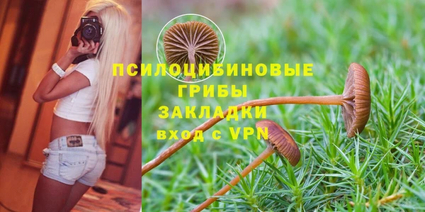 PSILOCYBIN Инсар