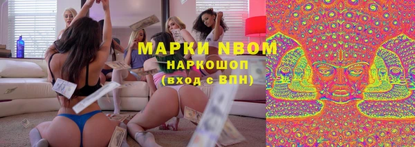 PSILOCYBIN Инсар