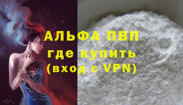 ECSTASY Инта