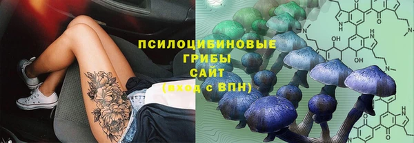 PSILOCYBIN Инсар