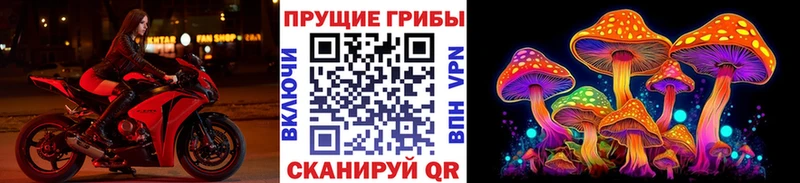 Псилоцибиновые грибы мухоморы  Купить где  Западная Двина 